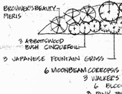 Landscaping Design Blueprint
