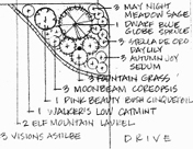 Landscaping Design Blueprint