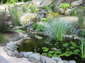 Water Features CT
